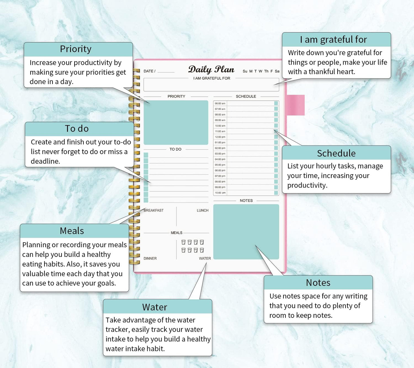 Daily Planner Undated with Hourly Schedule